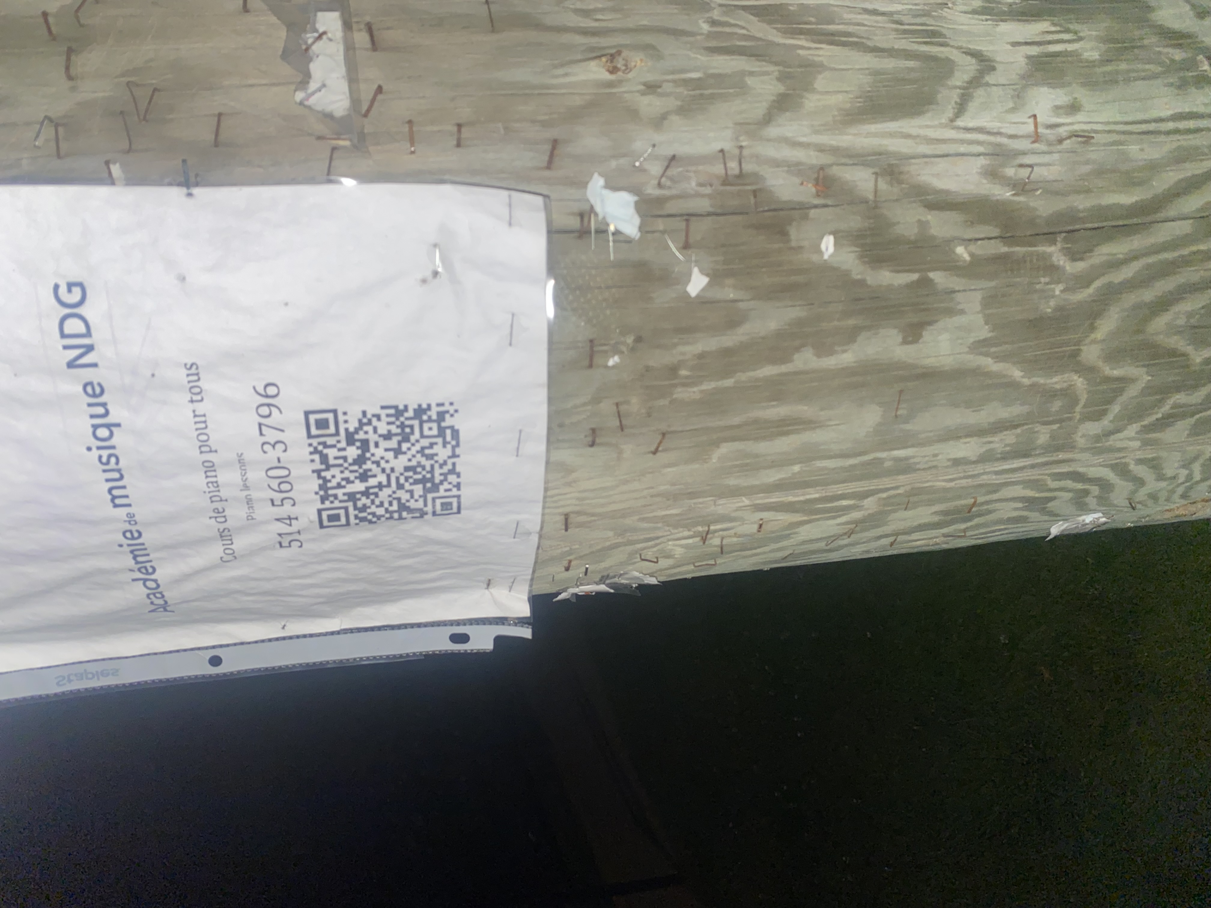 Flyer