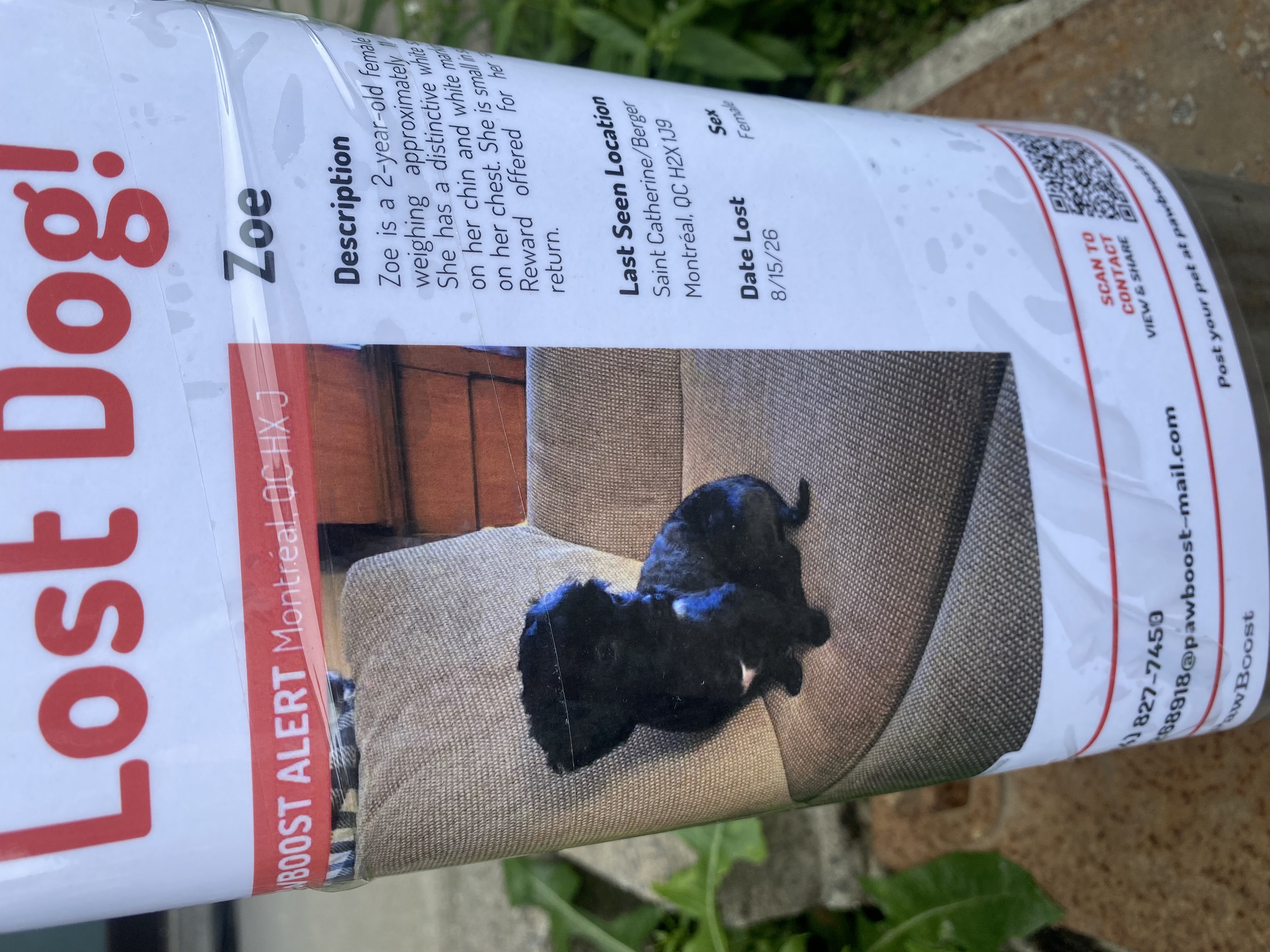 Flyer