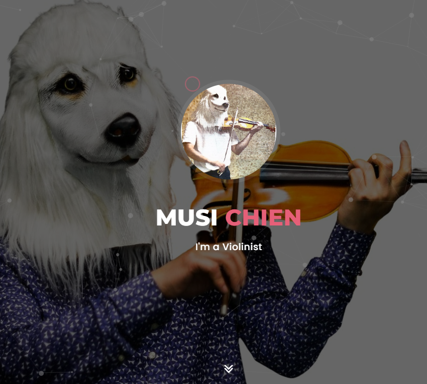 Musician